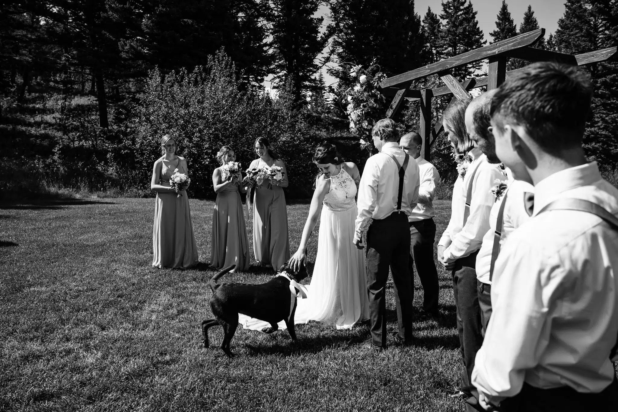 Dog At Wedding Ceremony At The Woodlands At Cottonwood Canyon // Bozeman Montana Wedding Photographers Charles Moll Photography