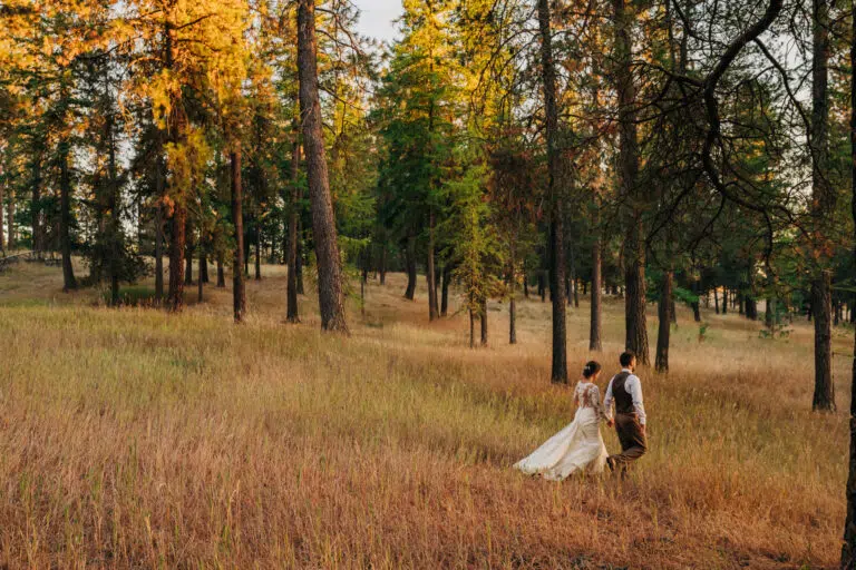 The Magic Of Golden Hour Portraits : A Guide For Wedding Couples