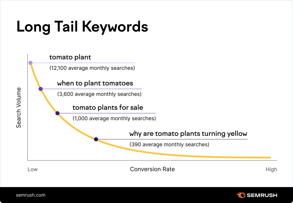Graph From Semrush Illustrating Long And Short Tail Keywords. This Is Helpful In Seeing How Keywords Impact Seo For Photographers